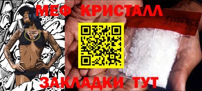 индика Кингисепп