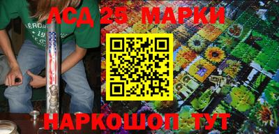индика Кингисепп