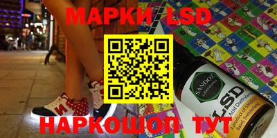 индика Кингисепп