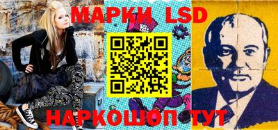индика Кингисепп