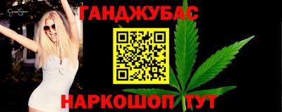 индика Кингисепп