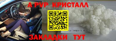 индика Кингисепп