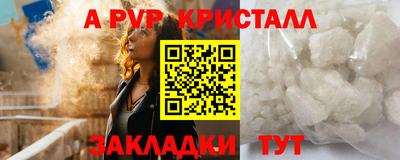 индика Кингисепп