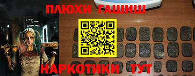 индика Кингисепп